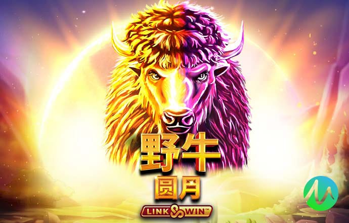 星空全站下载